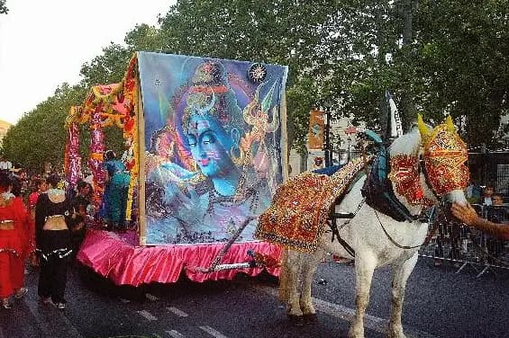 Gardoise d'Attelage — photo 2