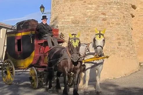 Gardoise d'Attelage — photo 5