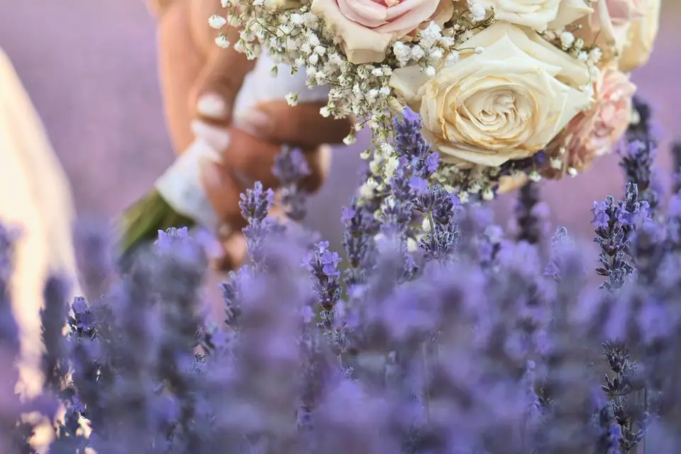 Kevin Simon — photo 8