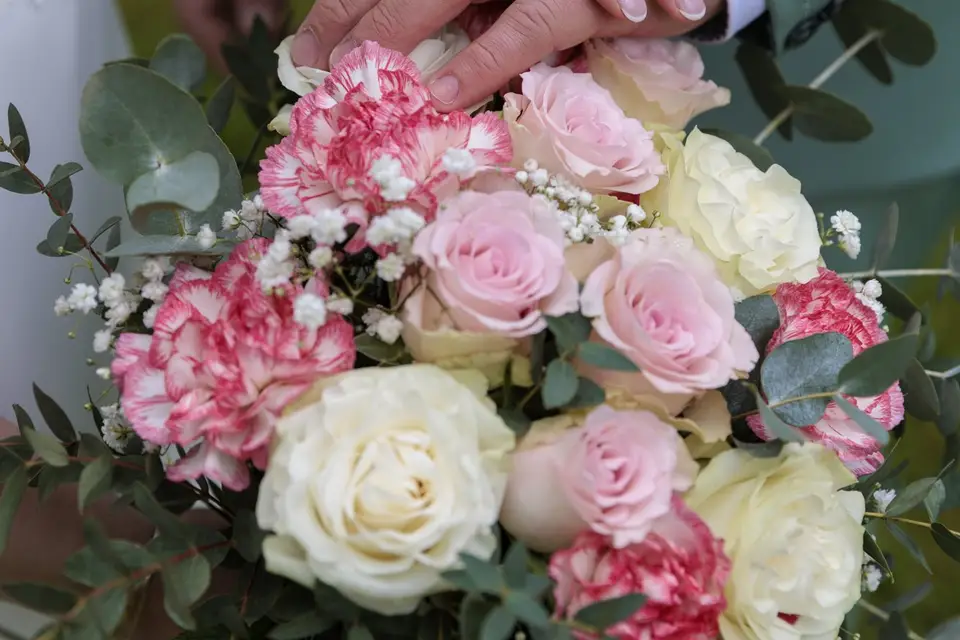 Photo&Motions — photo 4