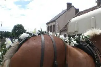 Galop Vert — photo 1