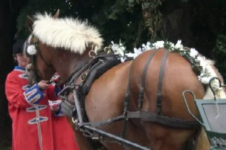 Galop Vert — photo 6