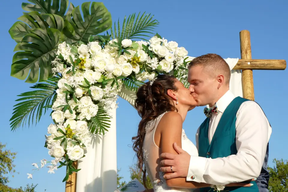 D&C Studio — photo 3