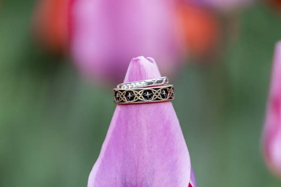 Alexandre Bianchi — photo 4