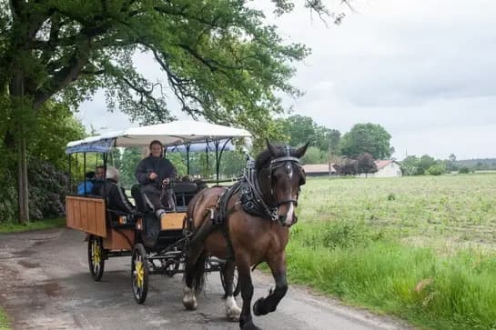 Macaleche — photo 5