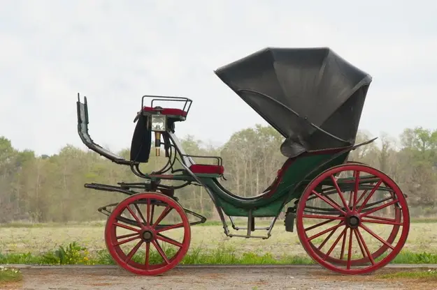 Macaleche — photo 1