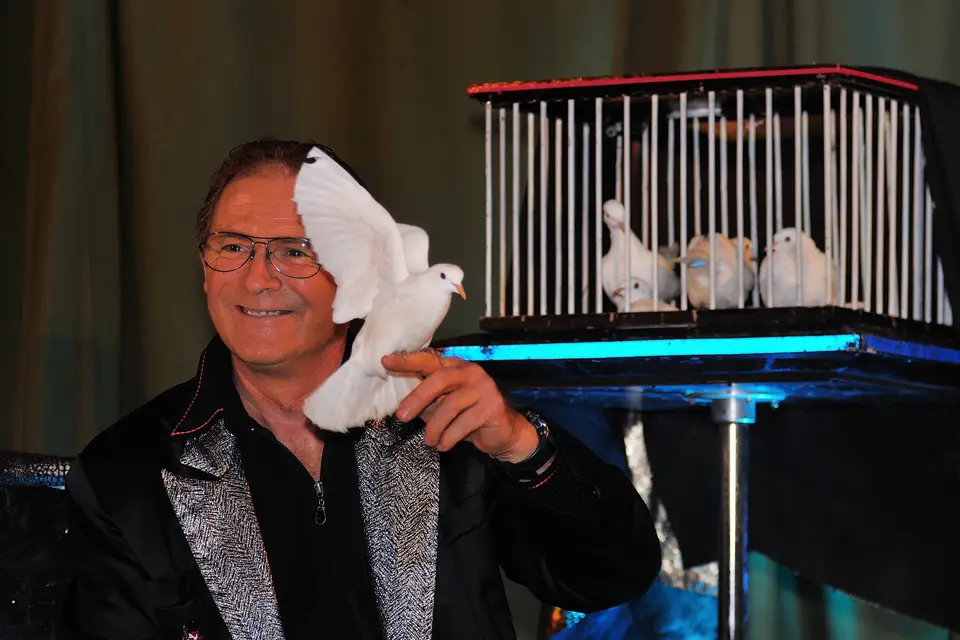 Magicien Philippe Hervé — photo 6