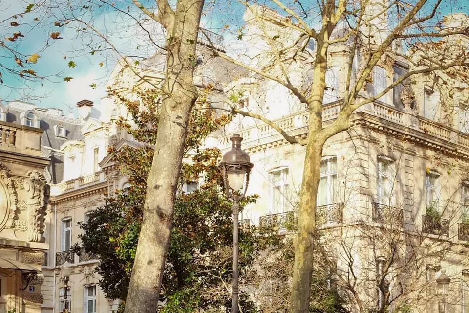 Prestige Hybridcars — photo 4