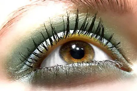 Ethnicia - Patsy Beauty — photo 4