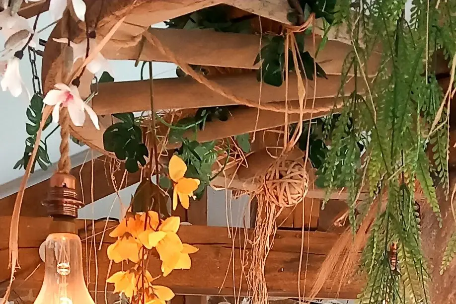 Terra Luna Cérémonies — photo 1