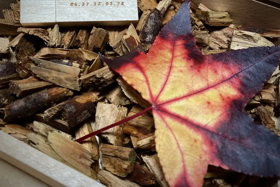 Christophe Génot — photo 4