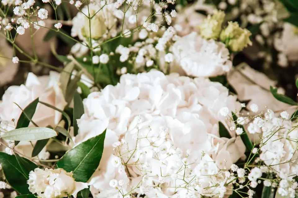 Luma et Vous — photo 5