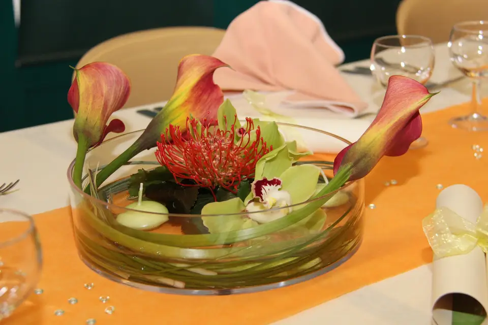 Virginie Vedrine — photo 5