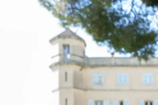 Château de Sénéguier — photo 4