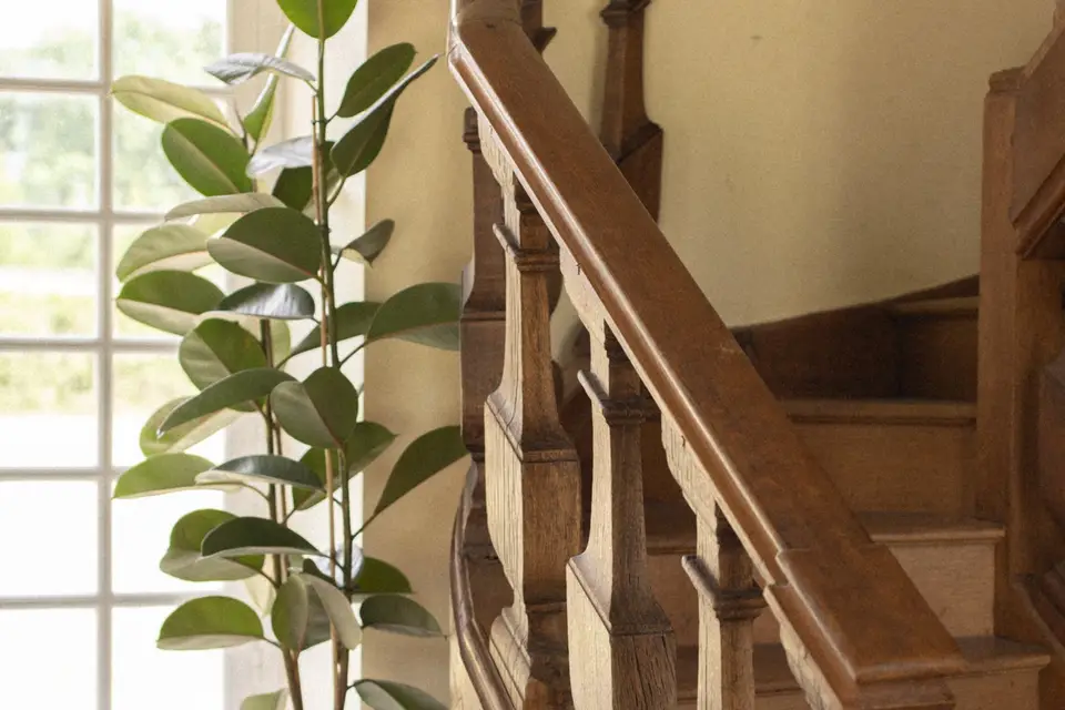 Green Folies — photo 6