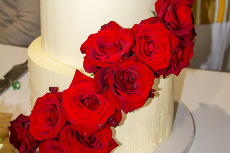 BM Cinematic — photo 8