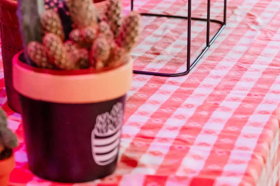 Teen Ranch Hermon — photo 8