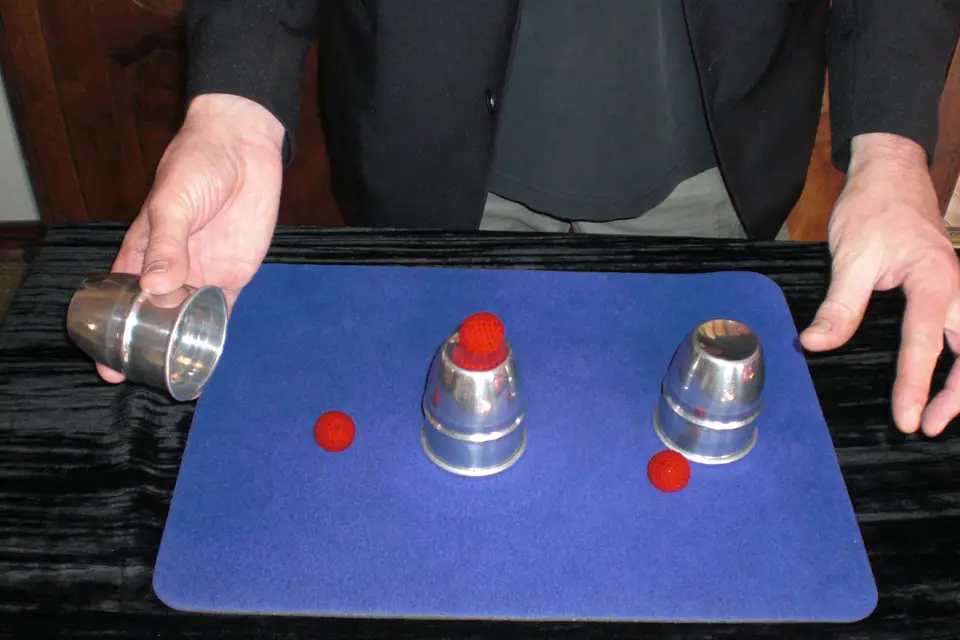 Sylvain Debize - Magicien — photo 5