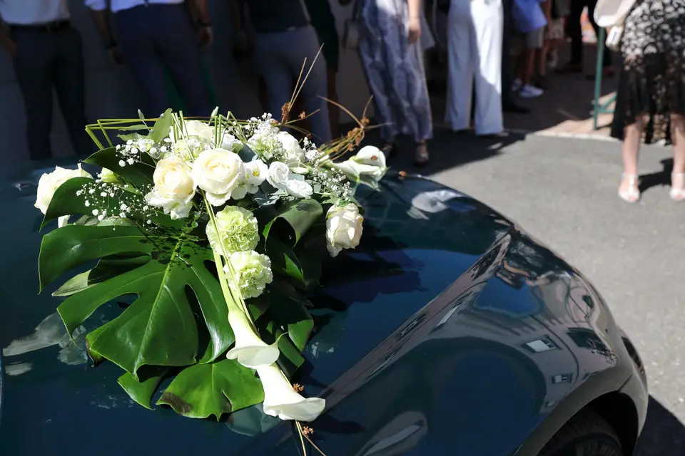 Les Roses de Jonas — photo 8