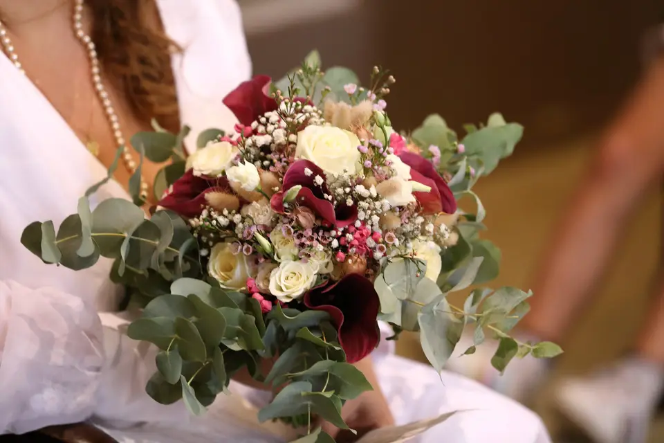 Les Roses de Jonas — photo 3