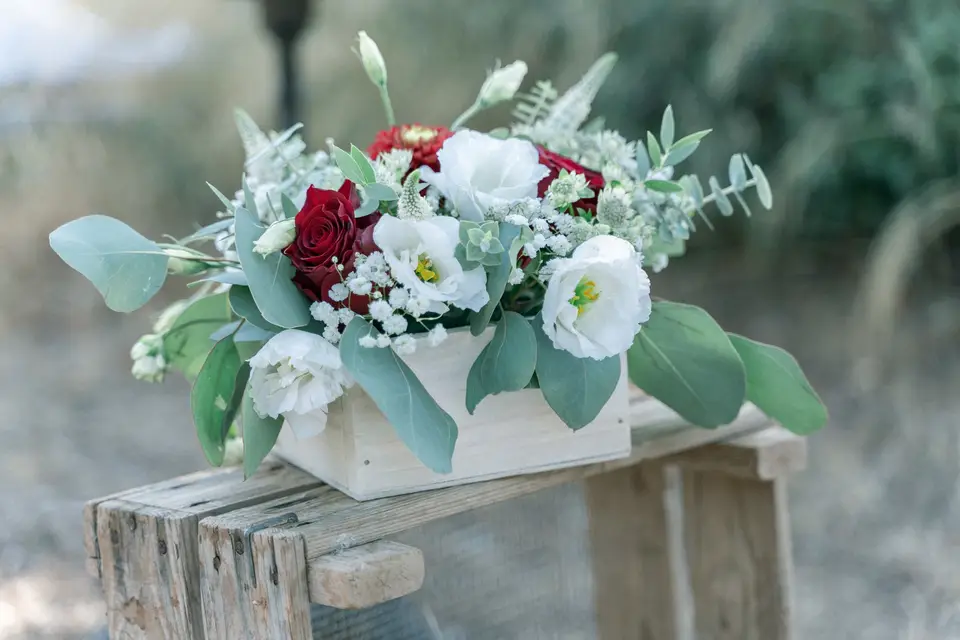 Heraflora — photo 8