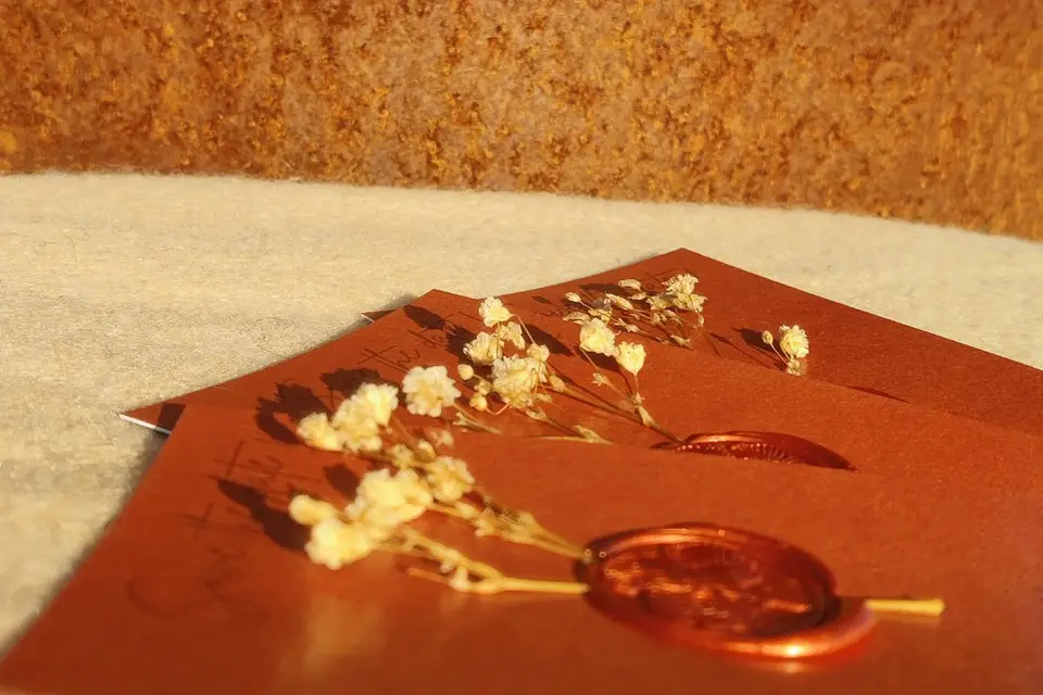 Môme Design — photo 1