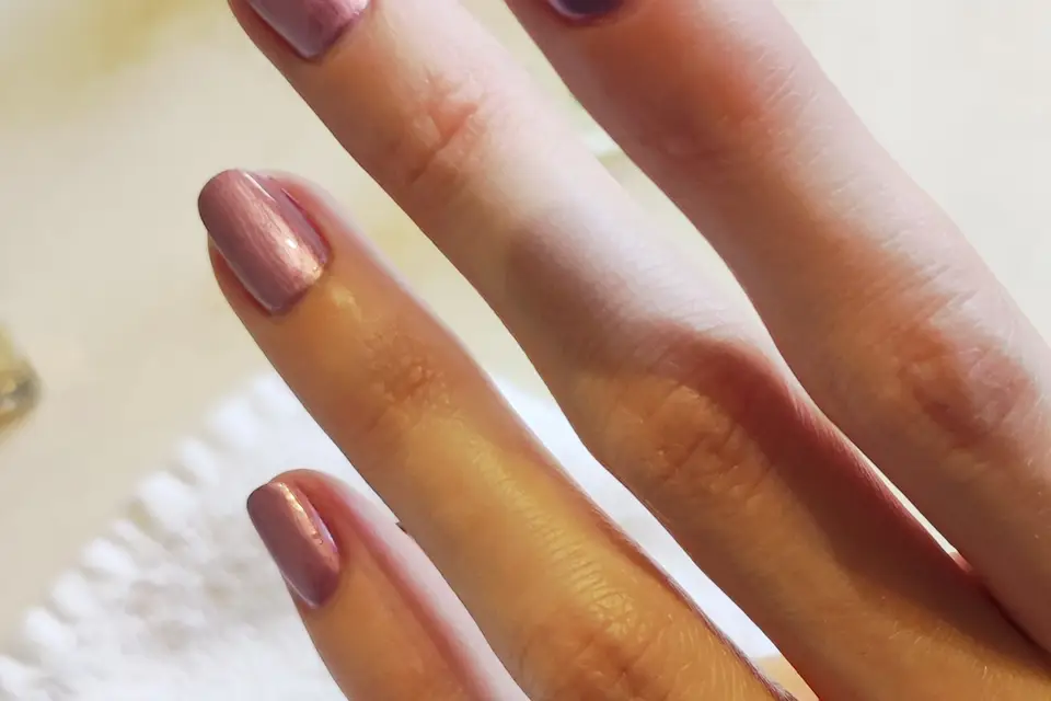 Agence Malva — photo 2