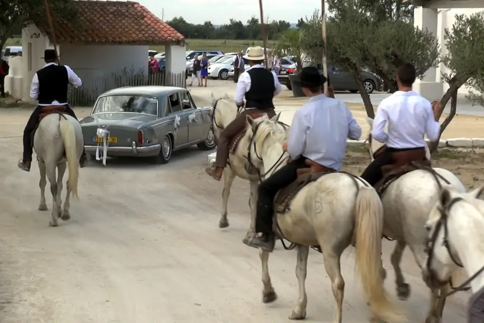 BVP Vidéo — photo 6