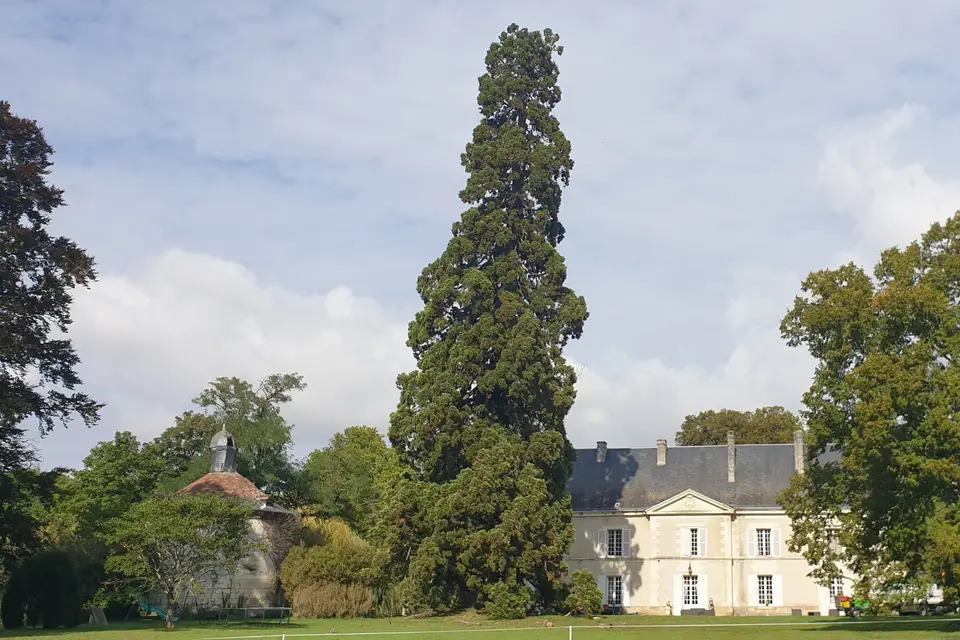 Château de Basché — photo 3