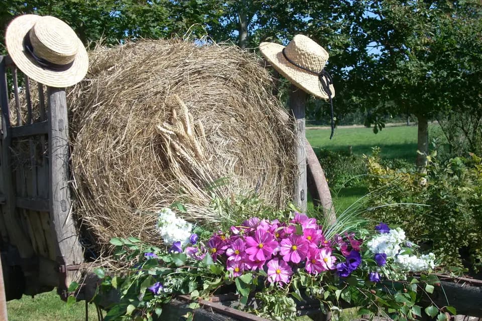 Lorthenzia — photo 1