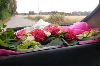 Lorthenzia — photo 6