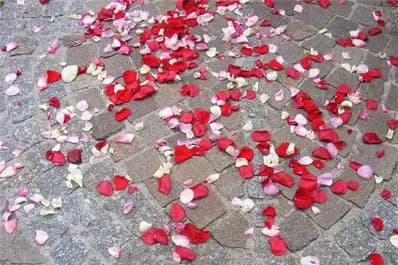 Lorthenzia — photo 8