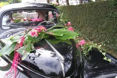 Lorthenzia — photo 2