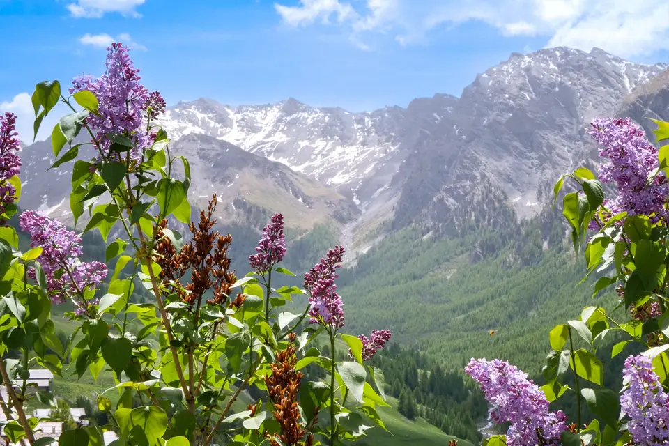 KB-Motion — photo 2