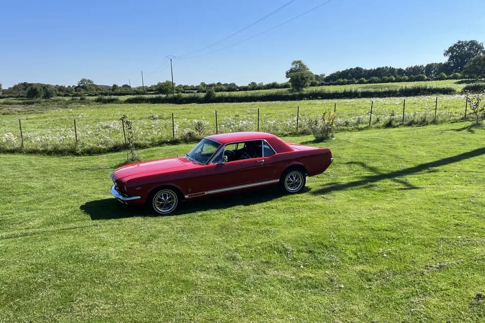 Locamika — photo 3