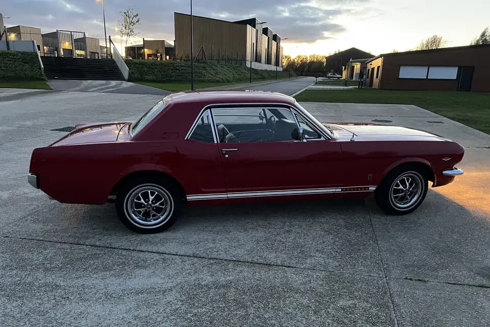 Locamika — photo 4