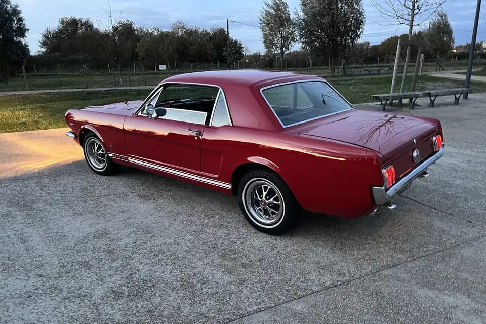 Locamika — photo 2