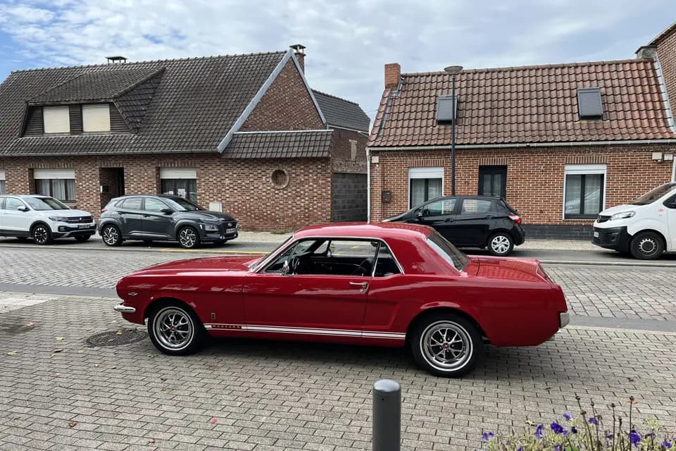 Locamika — photo 1