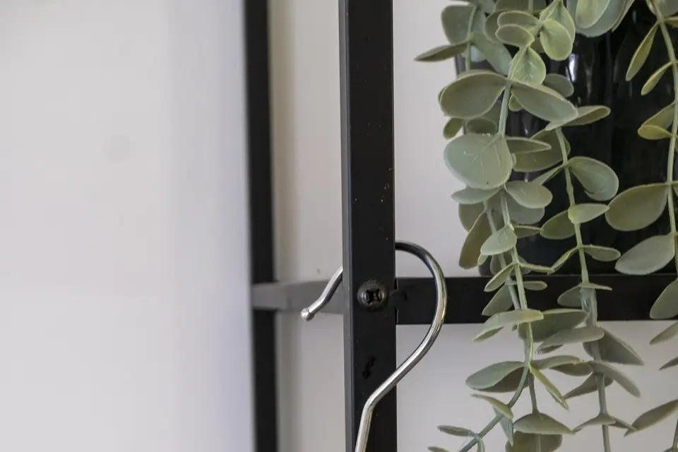 Hopy et Compagnie — photo 5