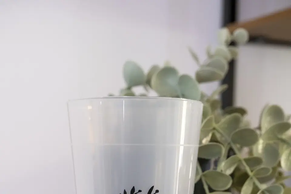 Hopy et Compagnie — photo 2