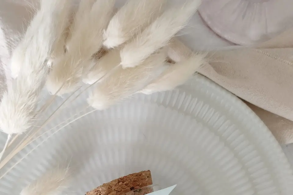 Cléaline Bougie — photo 1