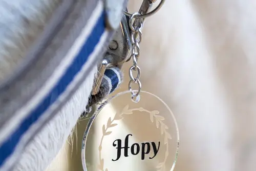 Hopy et Compagnie — photo 8