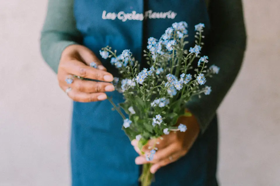 Les Cycles Fleuris — photo 2