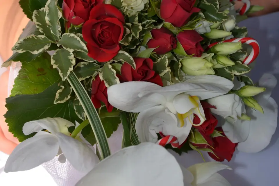 Cap2videoproduction — photo 5