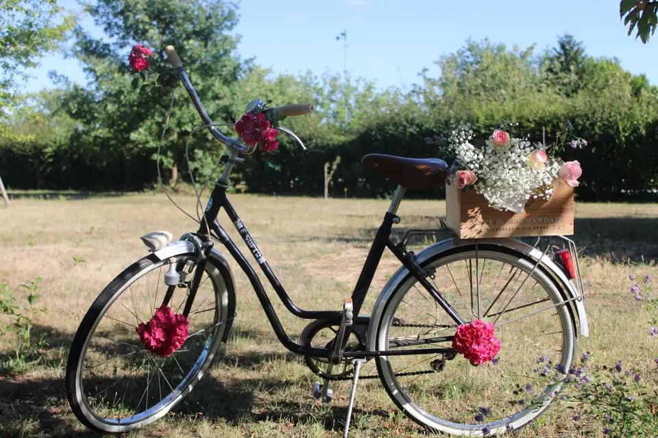 Les Cycles Fleuris — photo 3