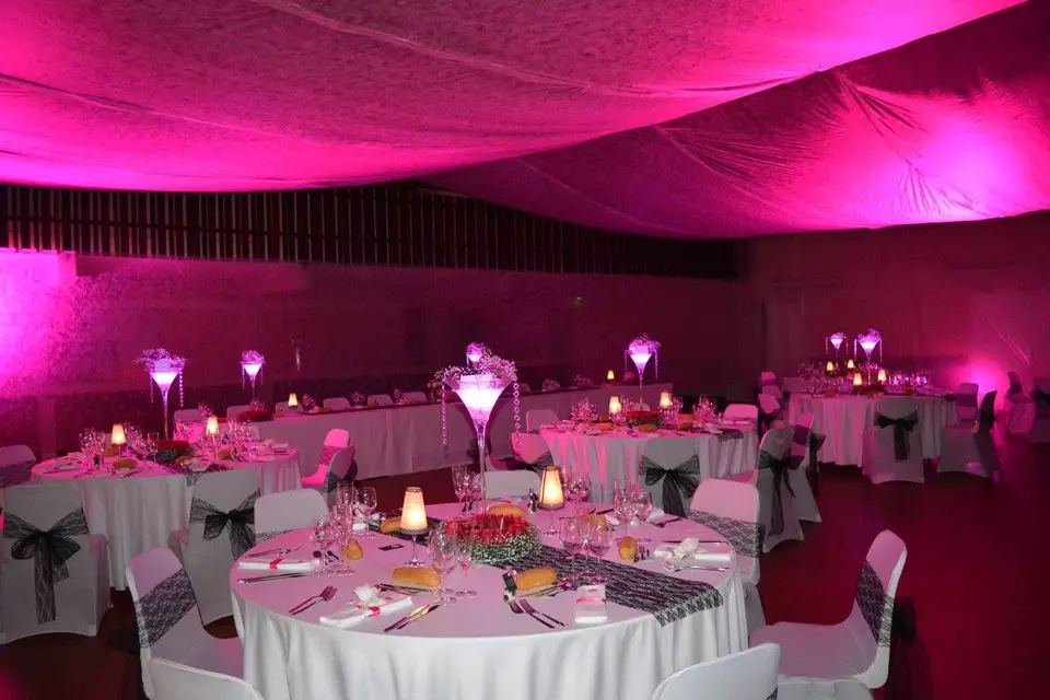 Sonia Wedding Designer & Planner