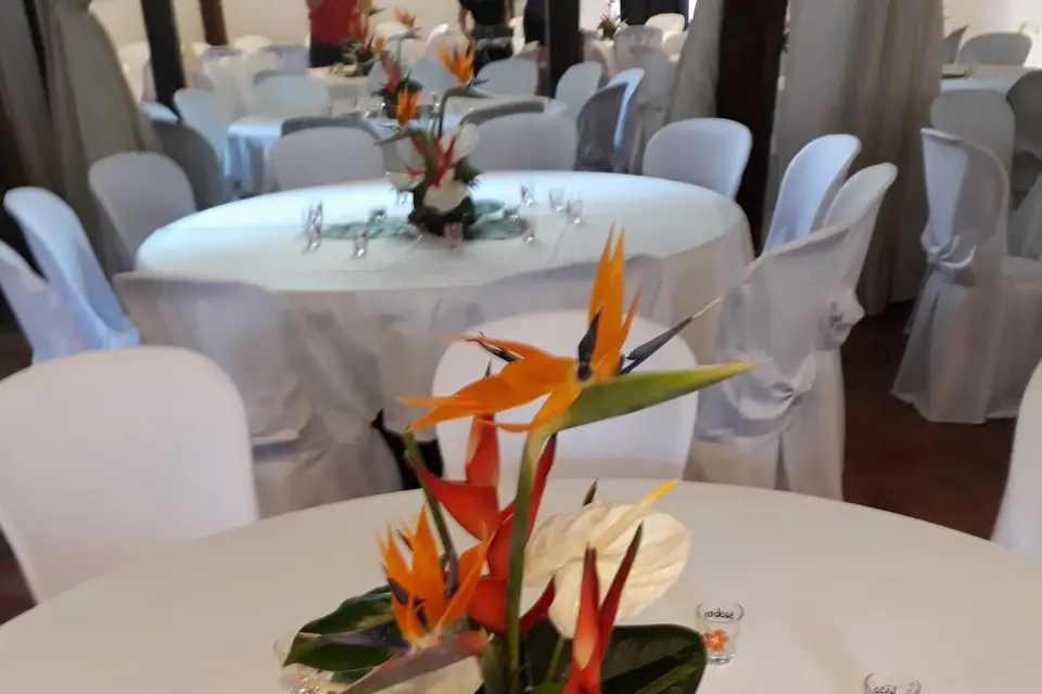 Daudet Fleuriste — photo 1