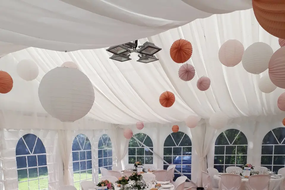 Daudet Fleuriste — photo 5