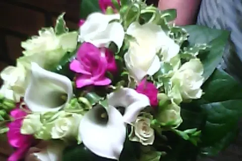 Daudet Fleuriste — photo 7