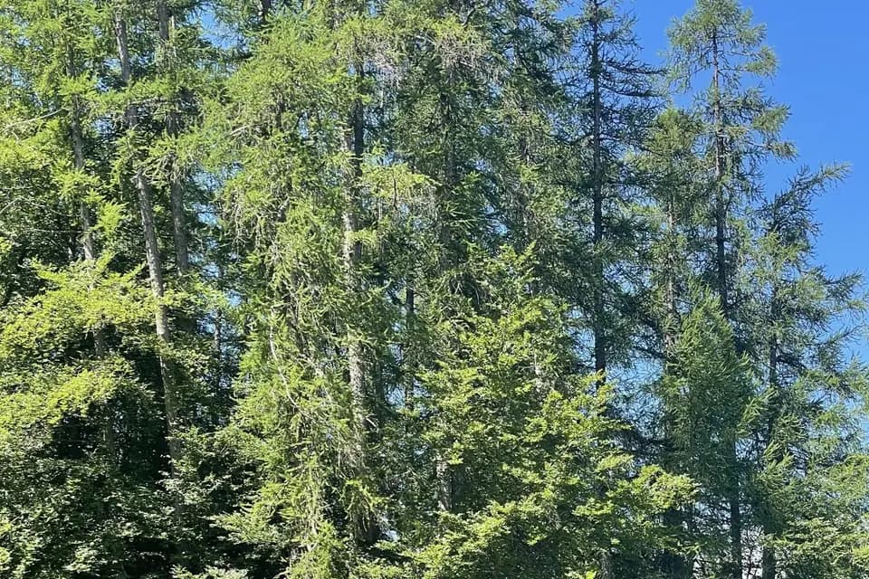 Le Domaine de Libouze — photo 7